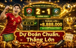 sportstatscouts Thể Thao